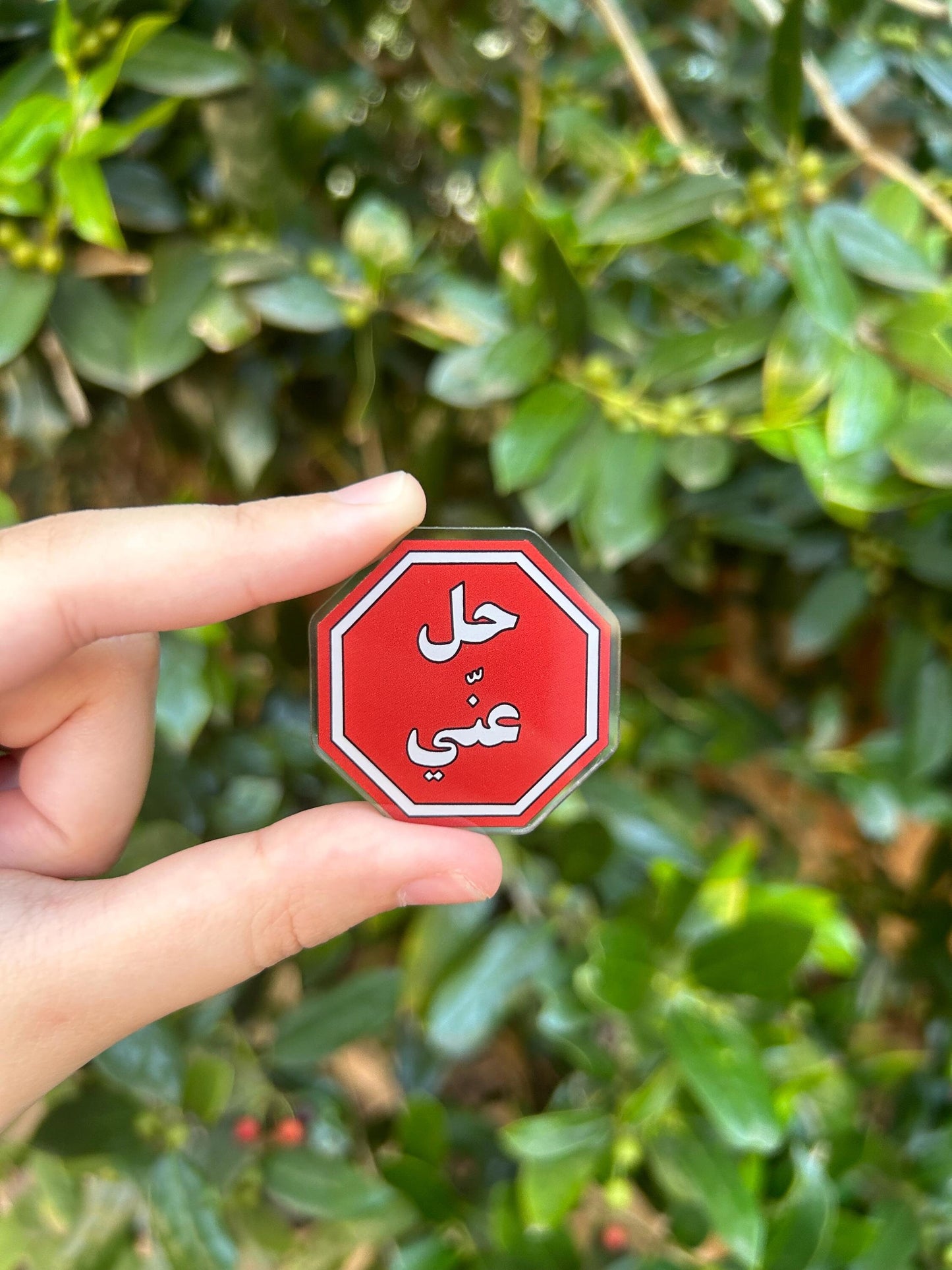 Hil 3ny Pin