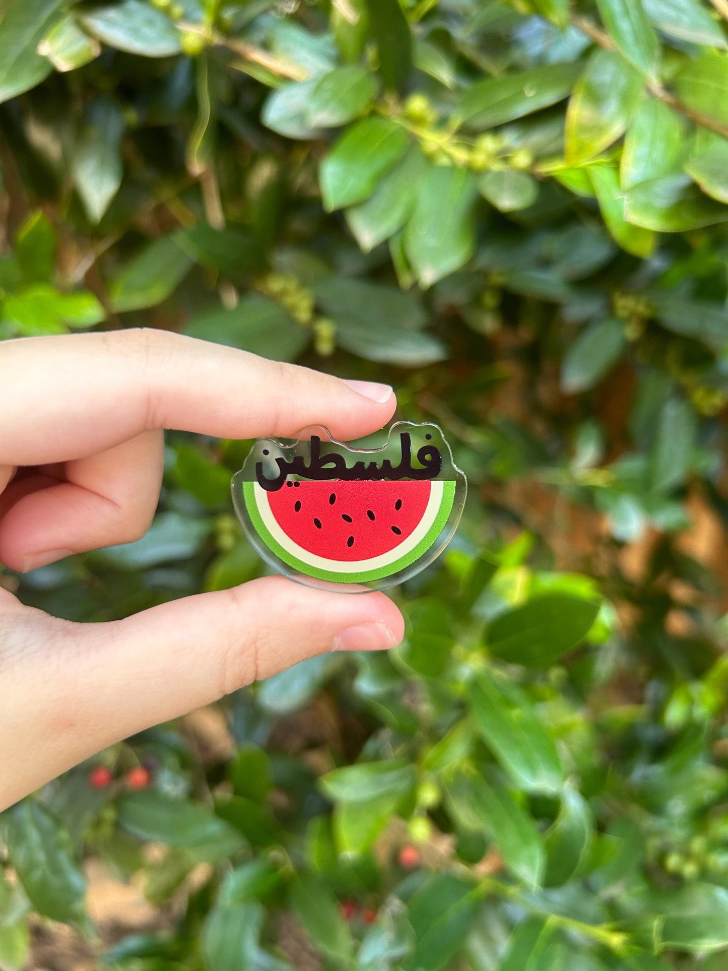 Palestine Watermelon Pin