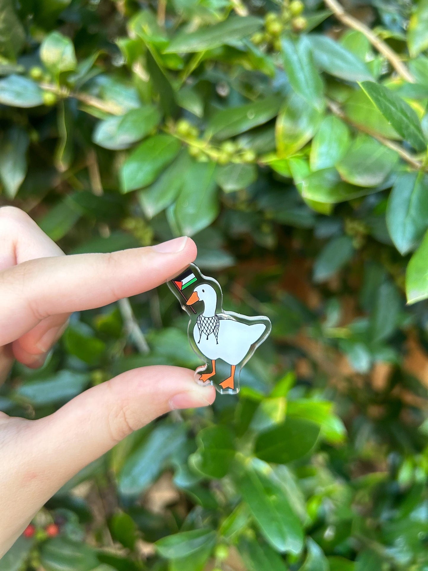 Falastini Duck Pin