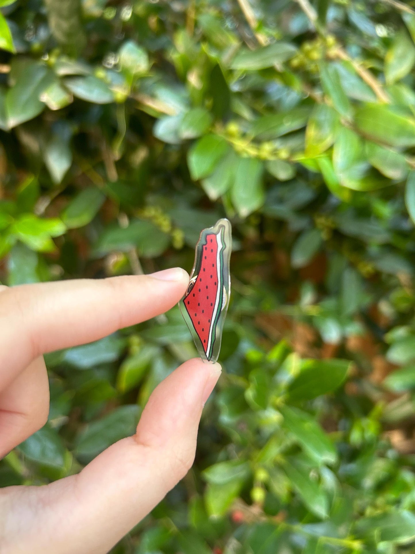 Palestine Watermelon Map Pin