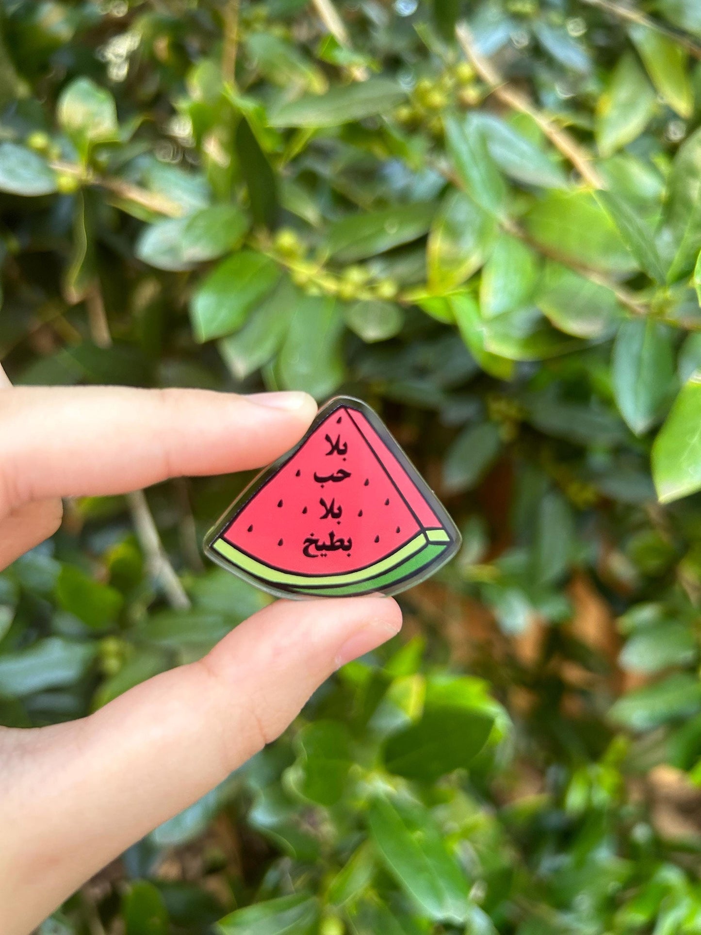 Bala Hob Bala Bateekh Pin